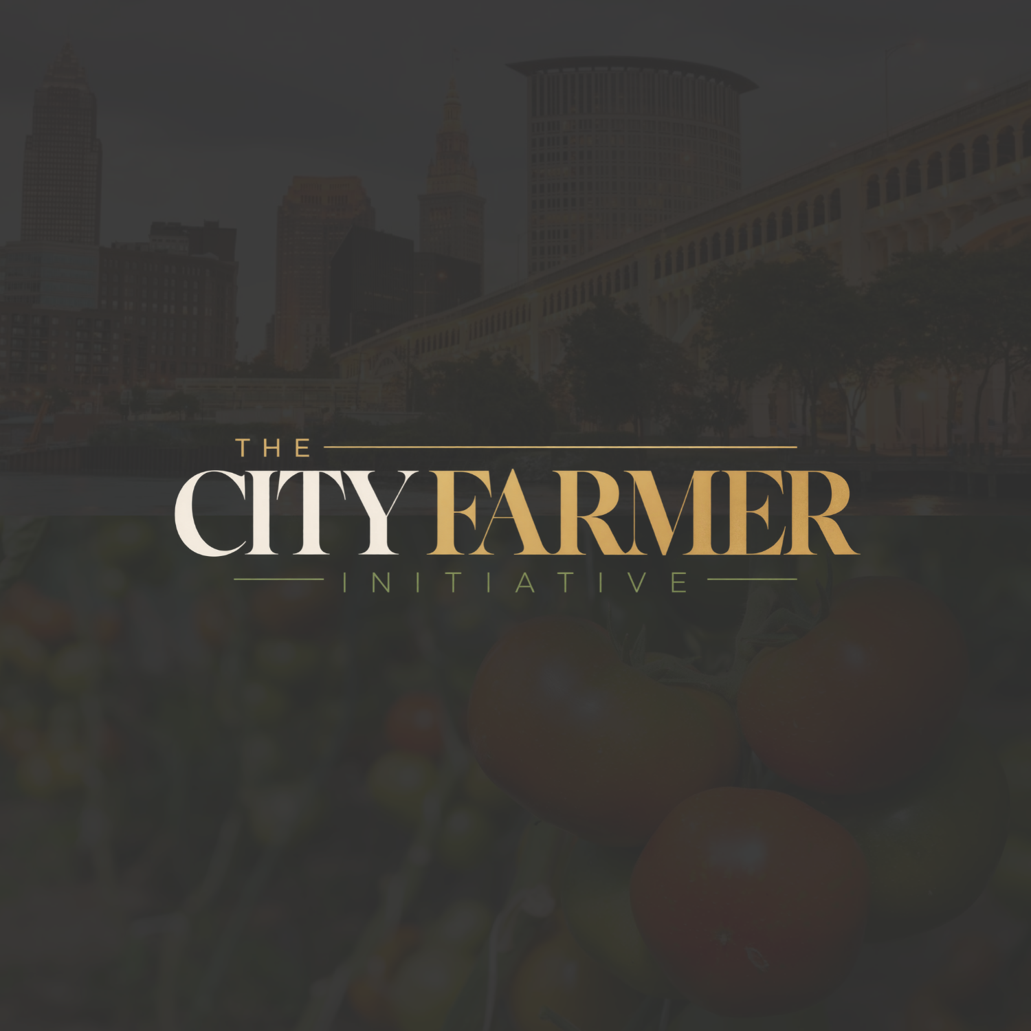 Reimagining how we think about food deserts, agriculture , land and the local food economy